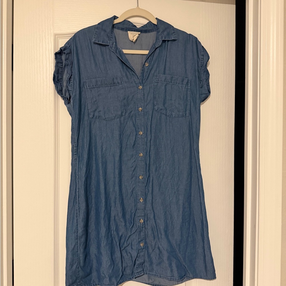 Denim Button-Front Mini Dress - Blue